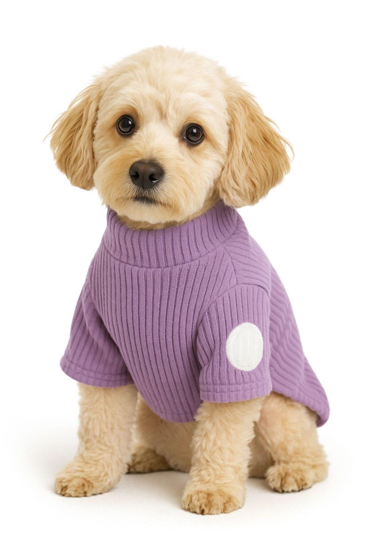 DolcePets Kedi Köpek Kıyafeti / Köpek Kazağı/Mor