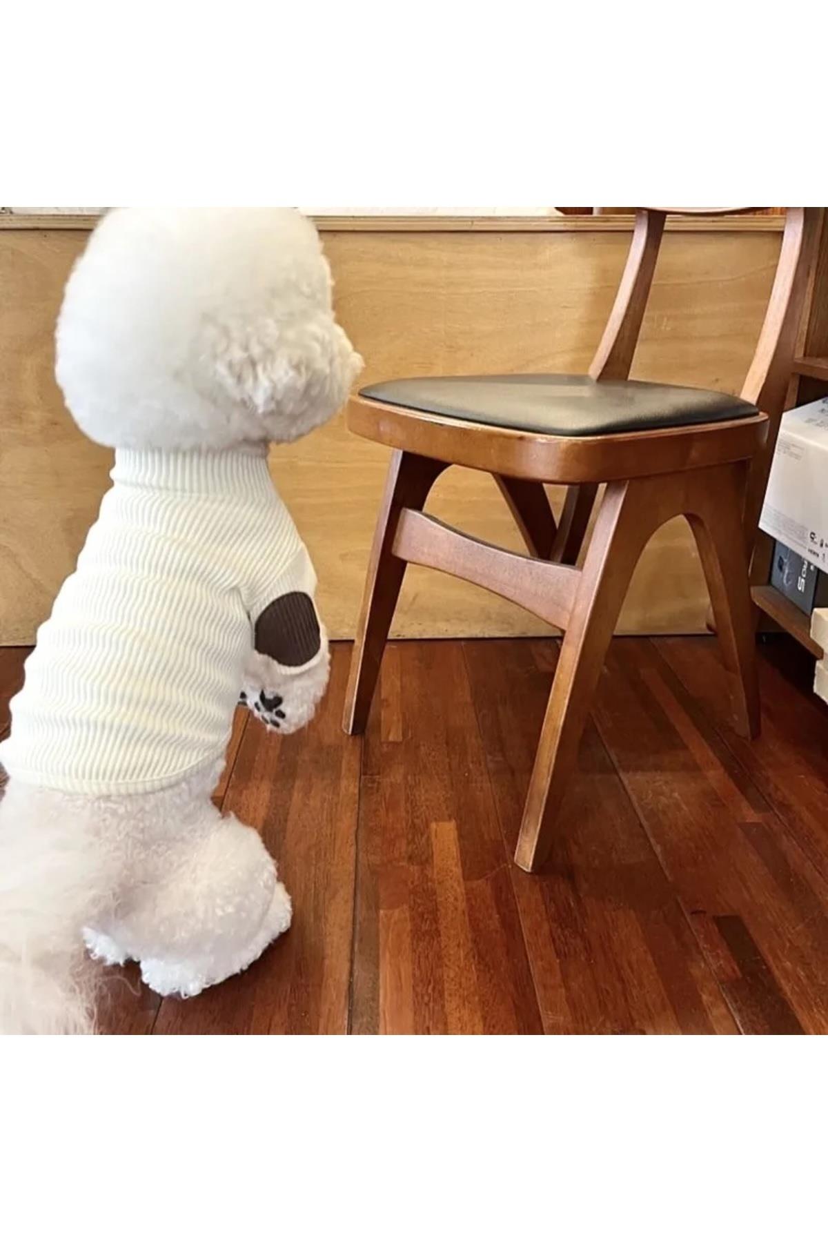 DolcePets Kedi Köpek Kıyafeti / Köpek Kazağı /Beyaz