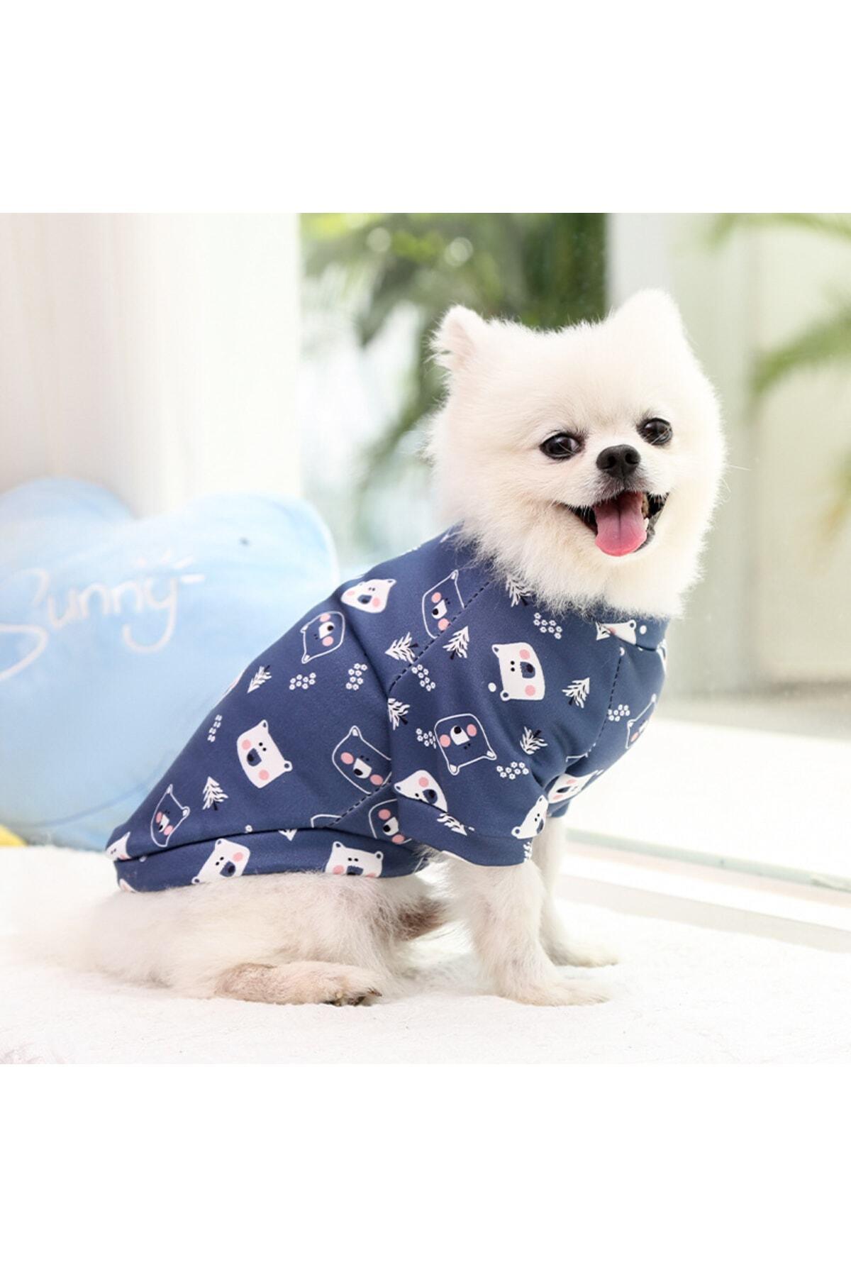 Kedi Köpek Kıyafeti/ Bear T-shirt/ayıcıklı Tişört