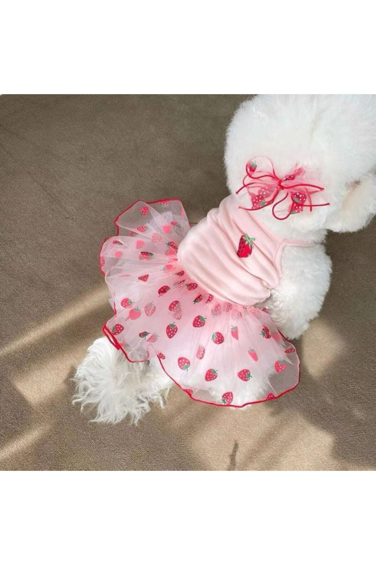 Kedi Köpek Kıyafeti Çilek Köpek Elbise
