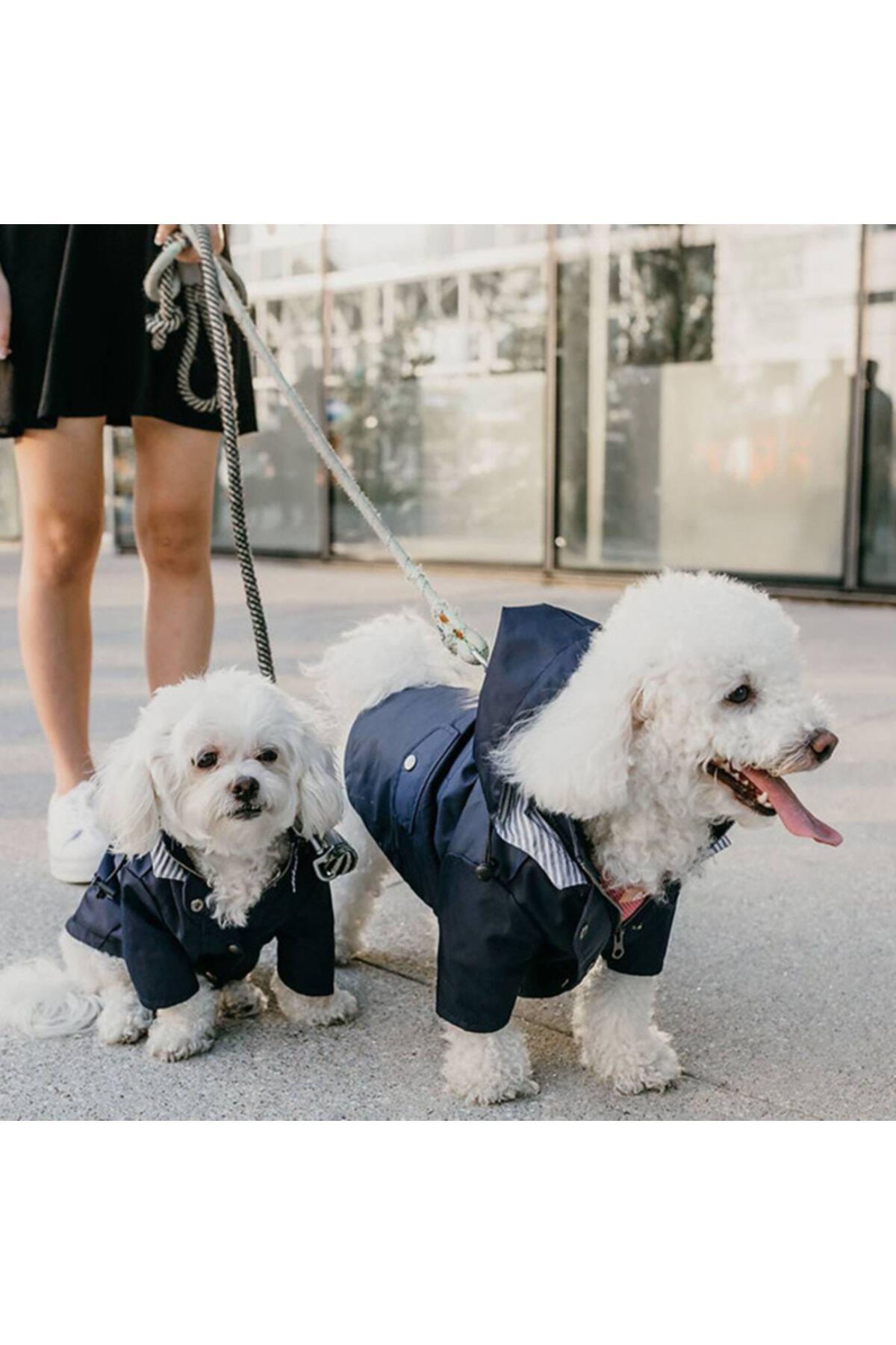Kedi Köpek Kıyafeti & Elbisesi Köpek Yağmurluğu Lacivert