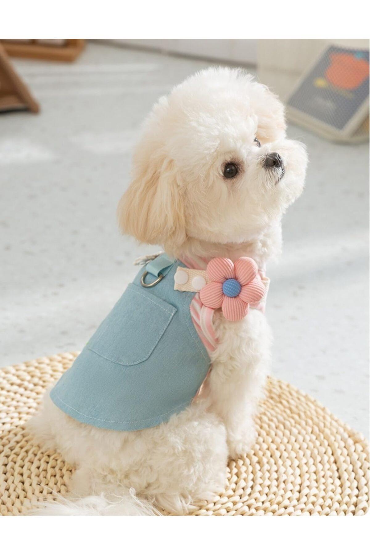 Kedi Köpek Kıyafeti Flower Tasmalı Kot Elbise