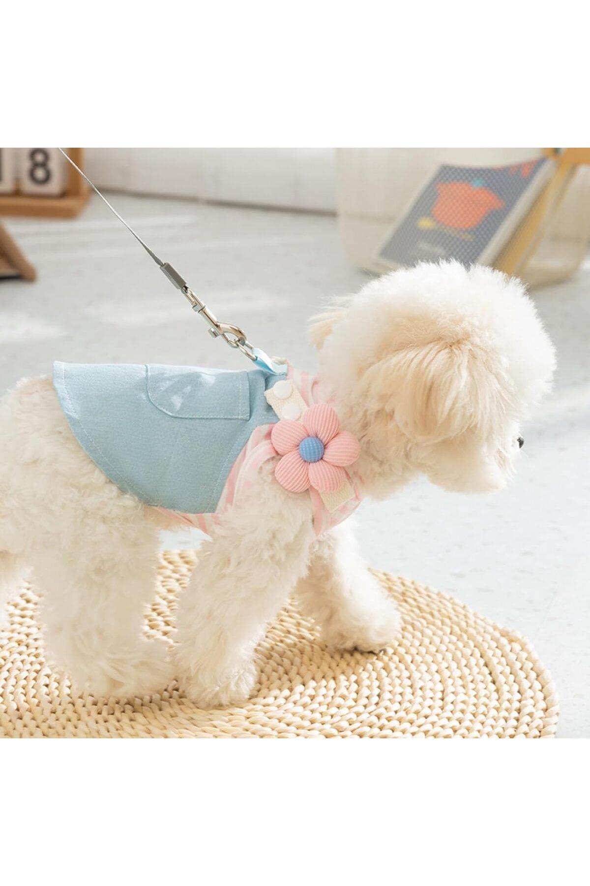 Kedi Köpek Kıyafeti Flower Tasmalı Kot Elbise