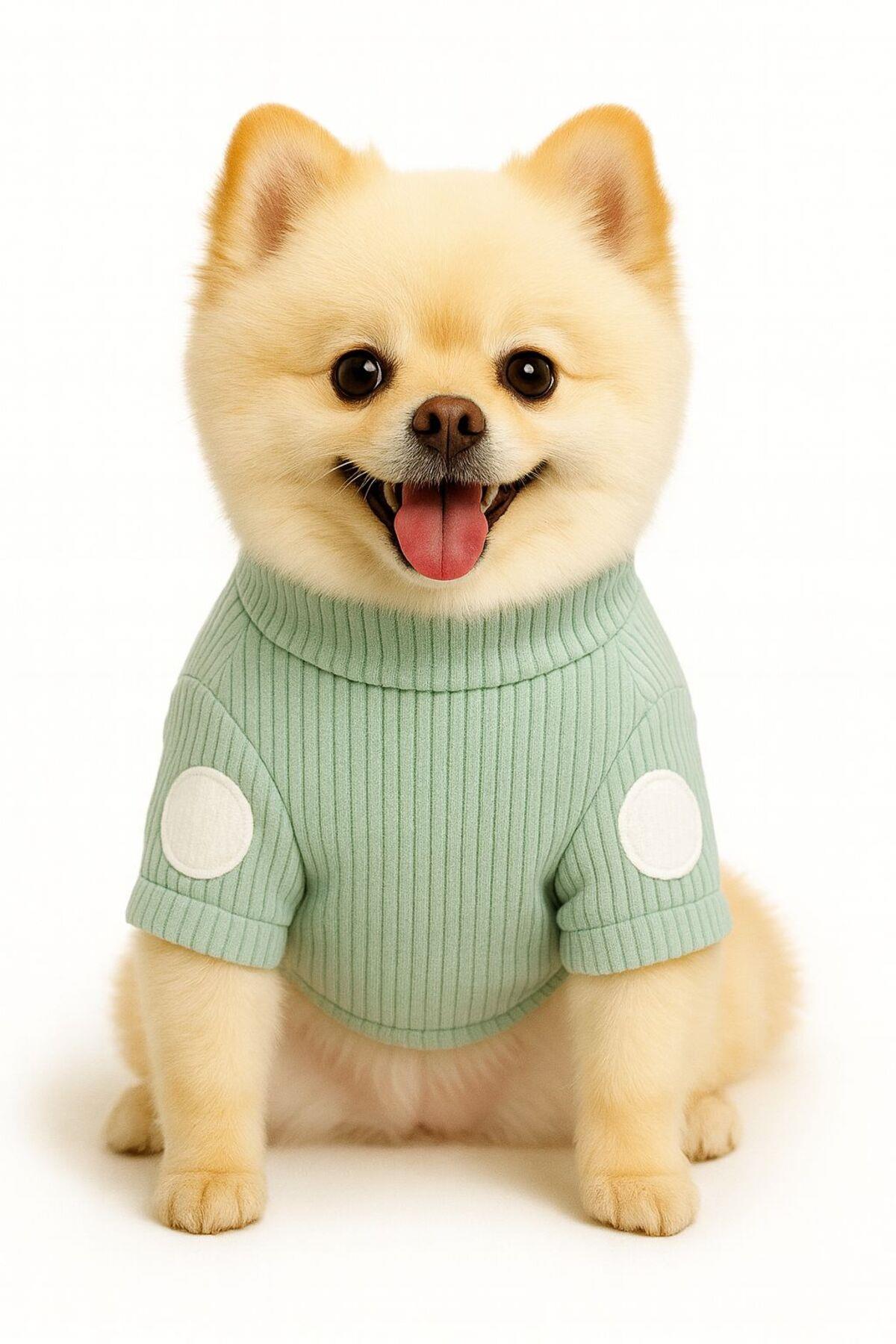 Kedi Köpek Kıyafeti / Köpek Kazağı/Yeşil