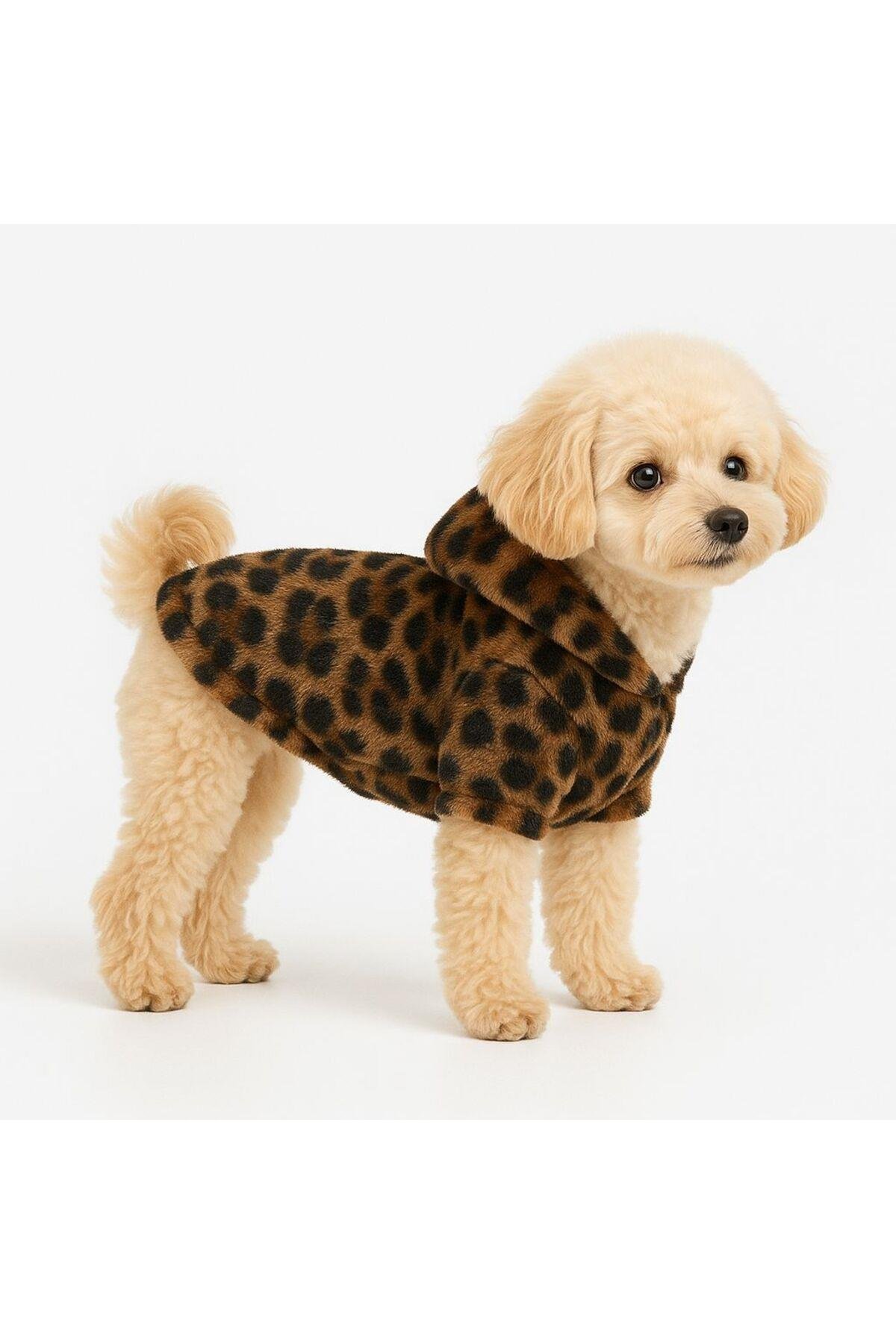 Kedi Köpek Kıyafeti Leopar Ceket