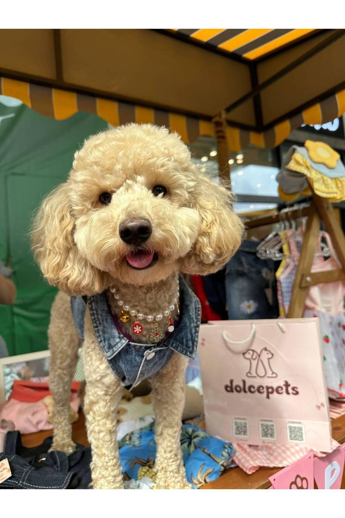 Kedi Köpek Kıyafeti Papatyalı Köpek Kot Ceket