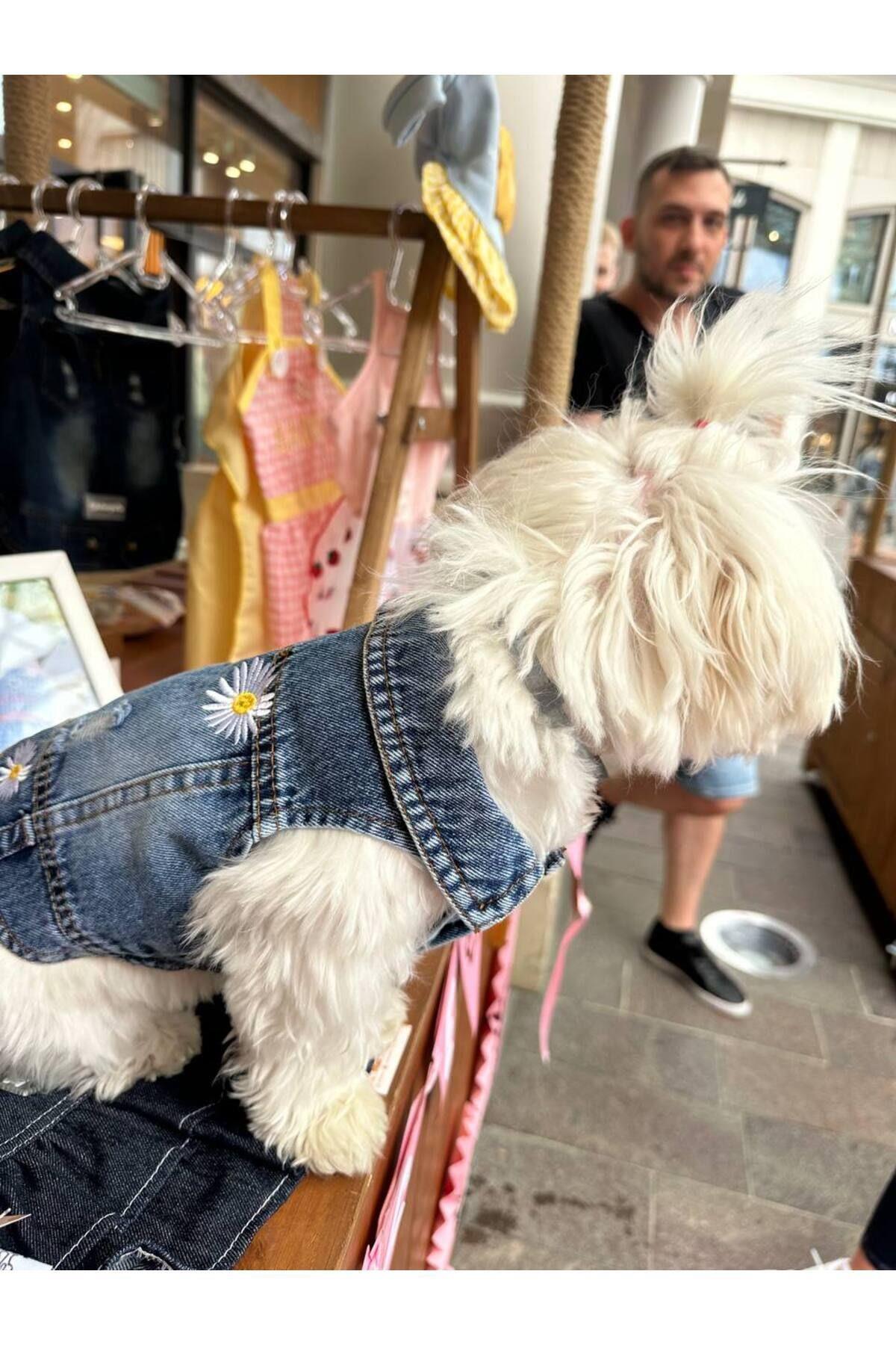 Kedi Köpek Kıyafeti Papatyalı Köpek Kot Ceket
