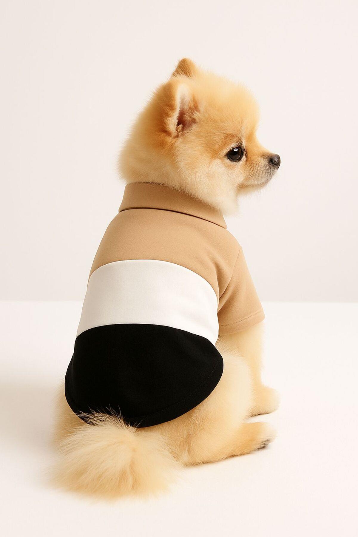 Kedi Köpek Kıyafeti Polo T-shirt