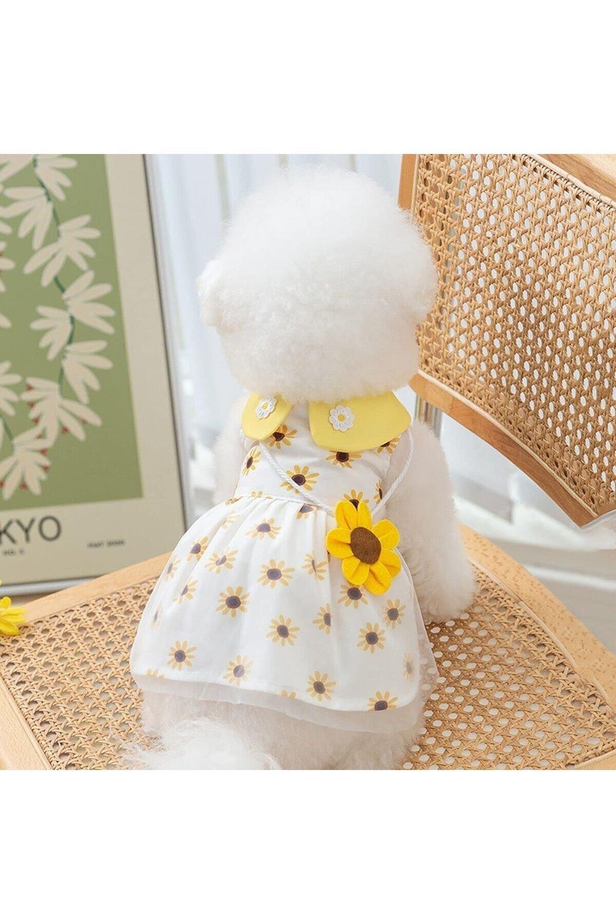 Kedi Köpek Kıyafeti SunFlower Dress/Ayçiçeği Elbise