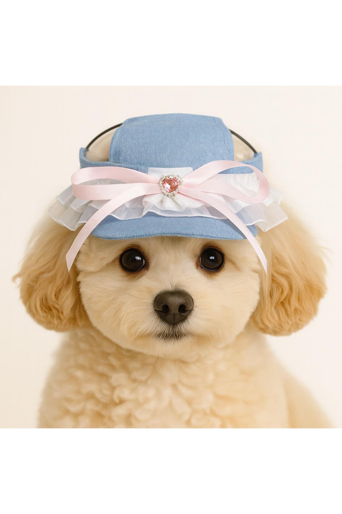 Kedi Köpek Kıyafeti/Taşlı Kot Şapka