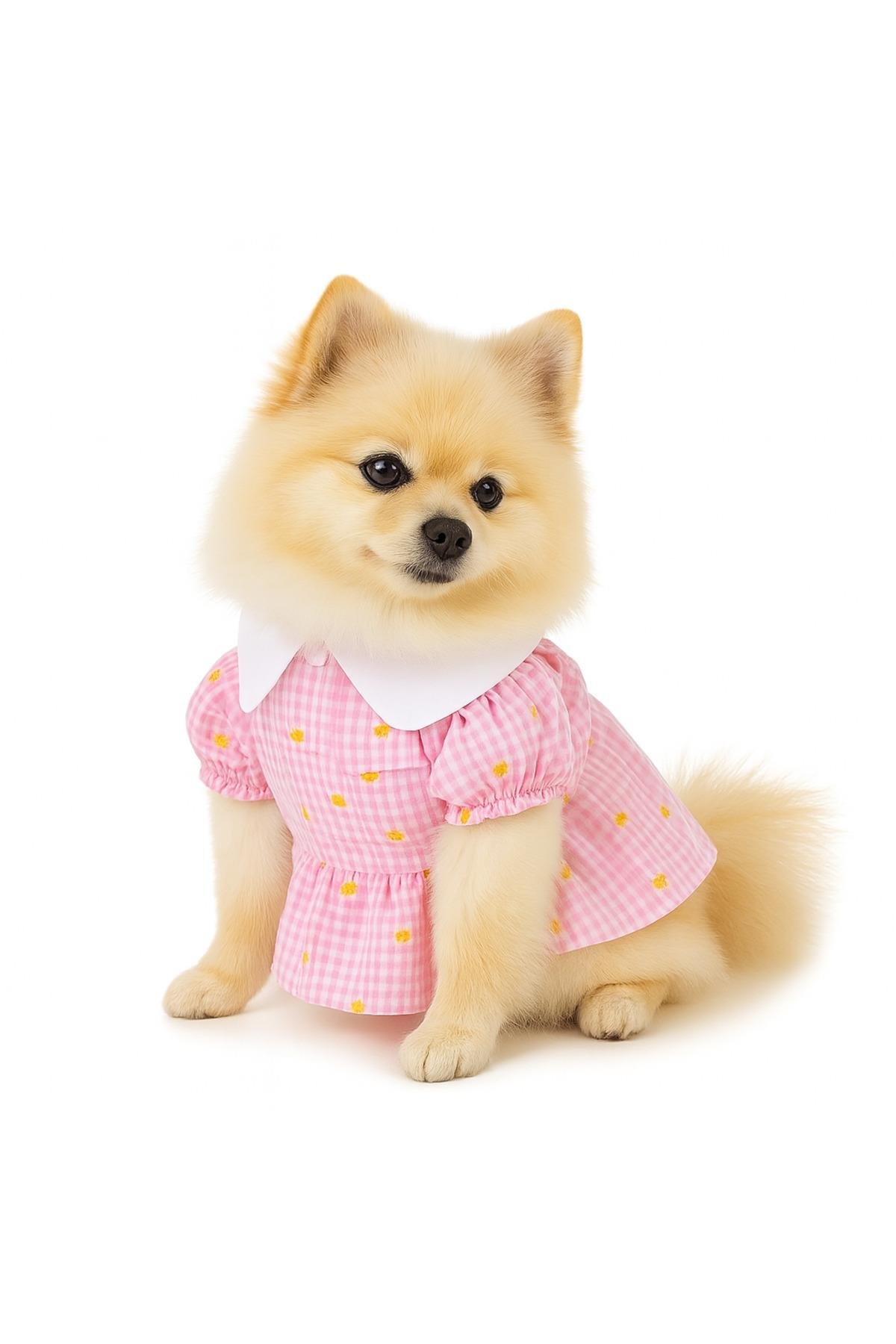 Kedi Köpek Kıyafeti/Yakalı Papatya Elbise /Mor