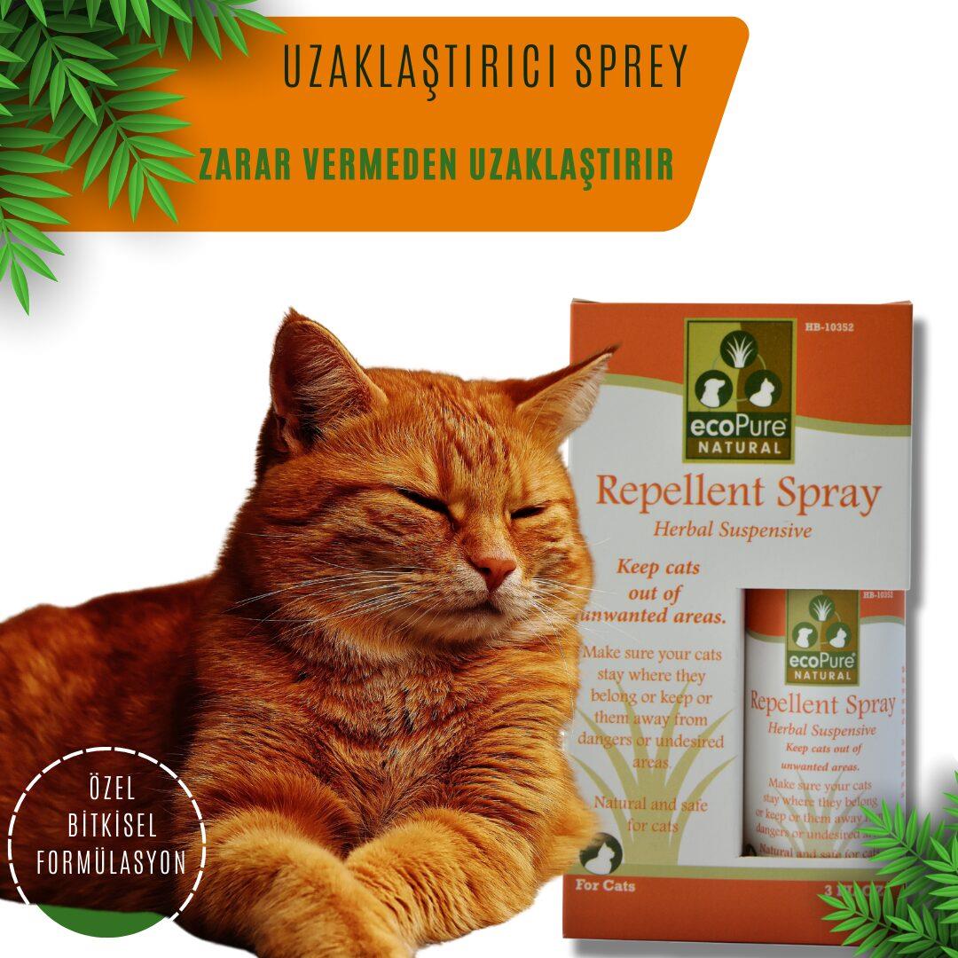 Repellent Spray® Cat - Kedi uzaklaştırıcı