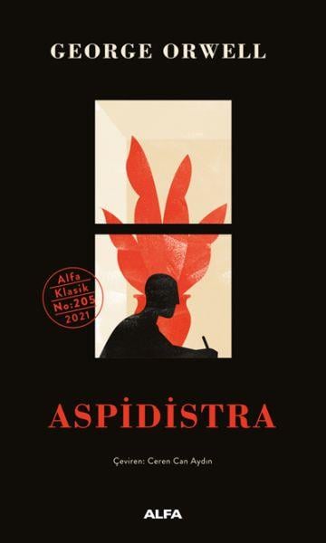 Aspidistra - Ciltsiz