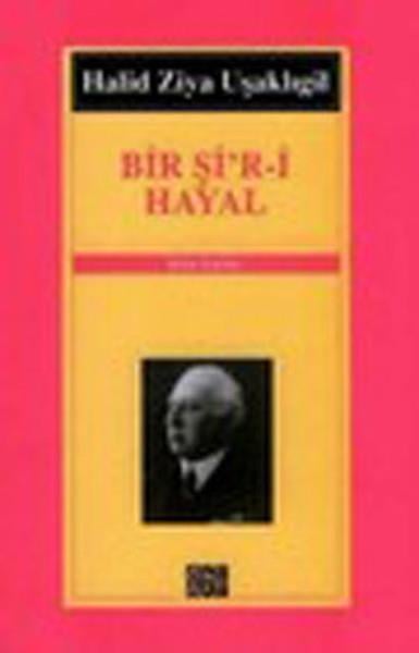 Bir Şi’r-i Hayal