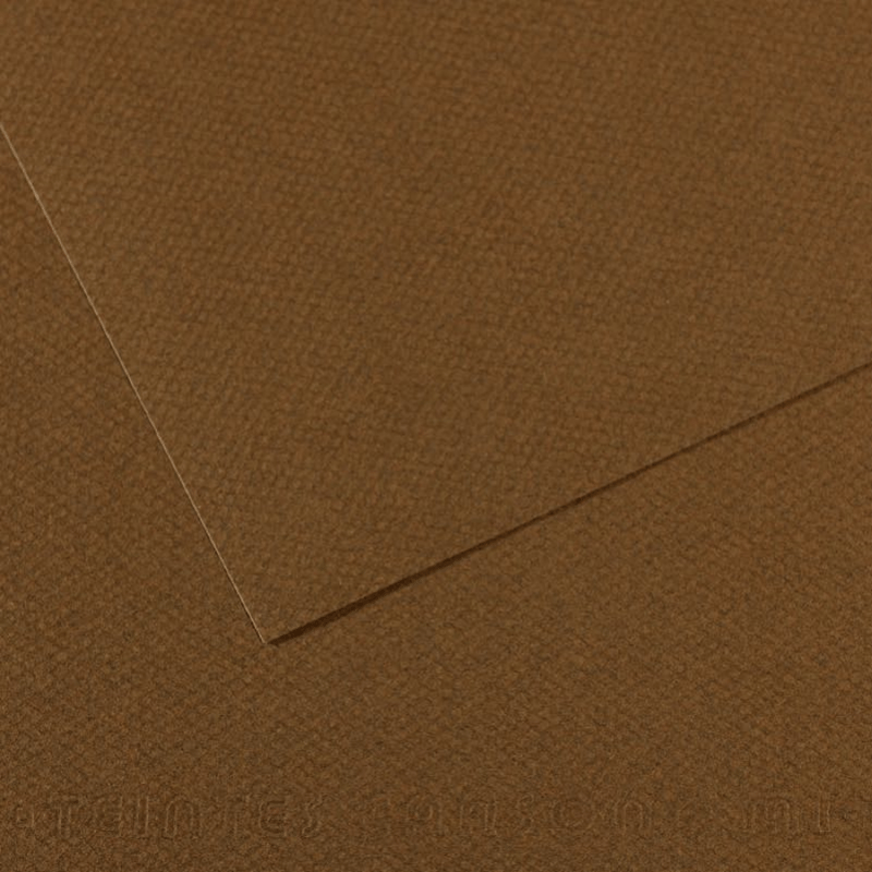 CANSON FON KARTONU MI-TEINTS 50x65 160 GR ( 10 LU PAKET ) TÜTÜN 501 31033S122