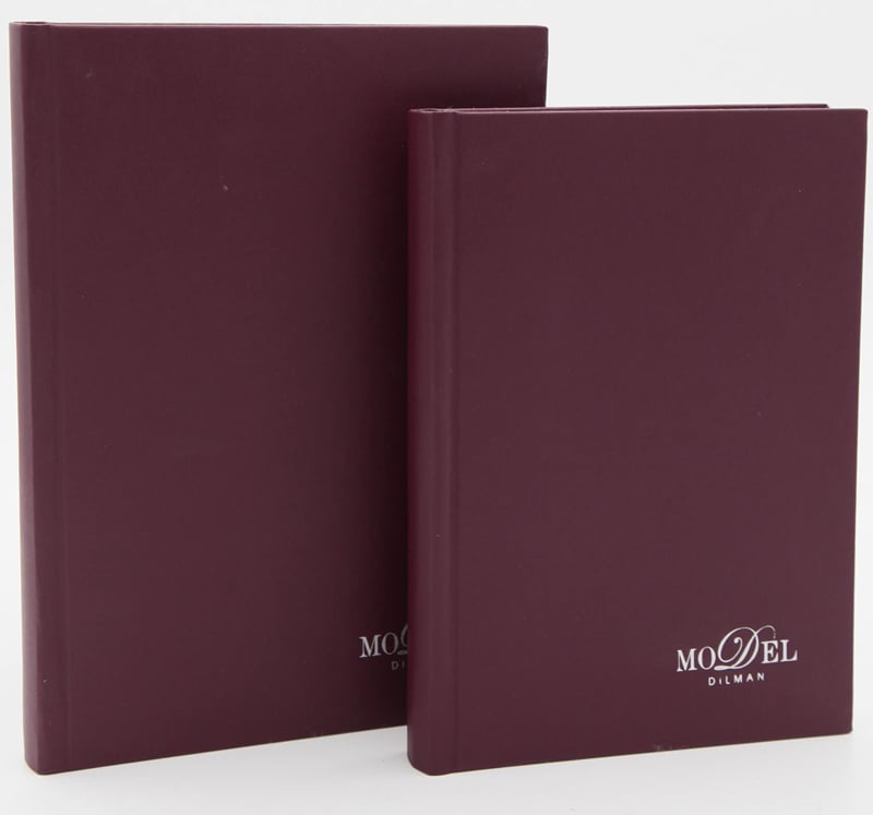 DİLMAN DEFTER MODELİST CİLTLİ SERT KAPAK 17x24 160 YP DÜZ 6013