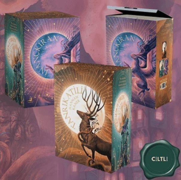 Düşmüş Tanrılar Serisi - 3 Kitaplık Kutulu Set