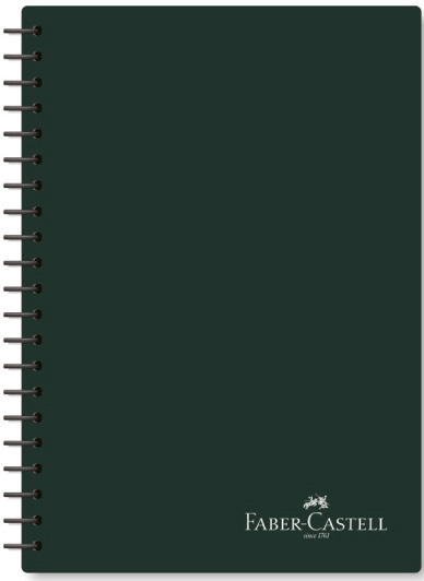 FABER DEFTER PP KAPAK KOYU RENKLER 100 YP ÇİZGİLİ 5075000519000
