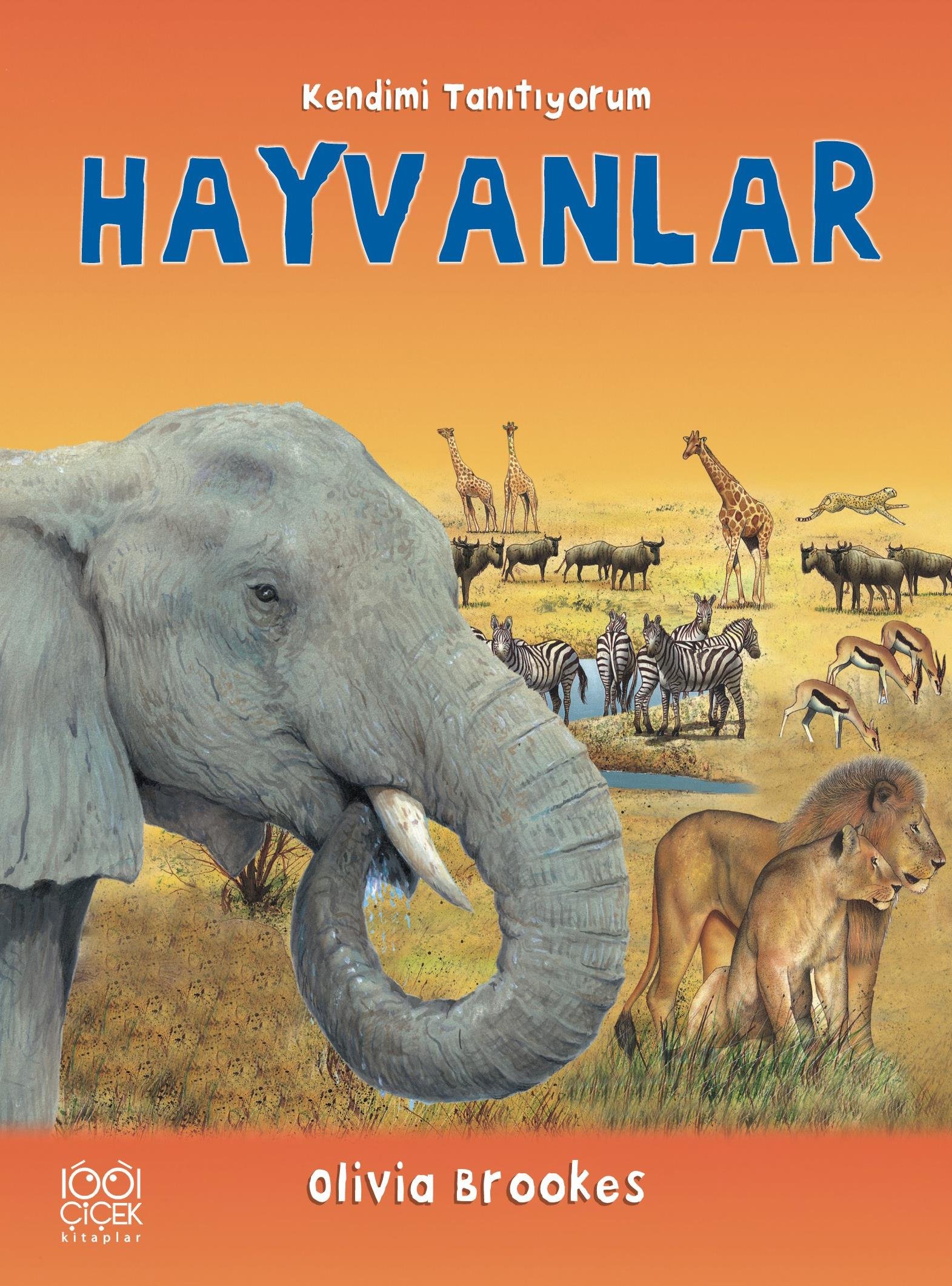 Hayvanlara Soralım