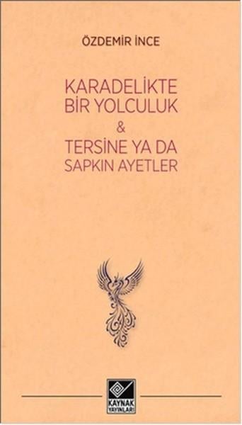 Kara Delikte Bir Yolculuk ve Tersine ya da Sapkın Ayetler
