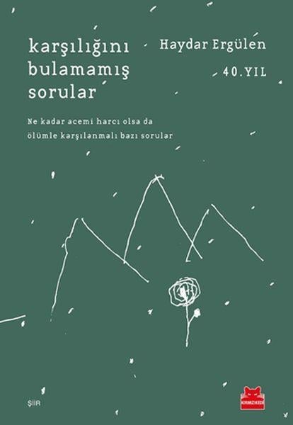 Karşılığını Bulamamış Sorular