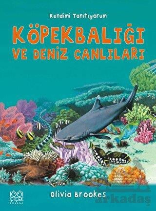 Köpekbalığı ve Deniz Canlıları - Kendimi Tanıtıyorum