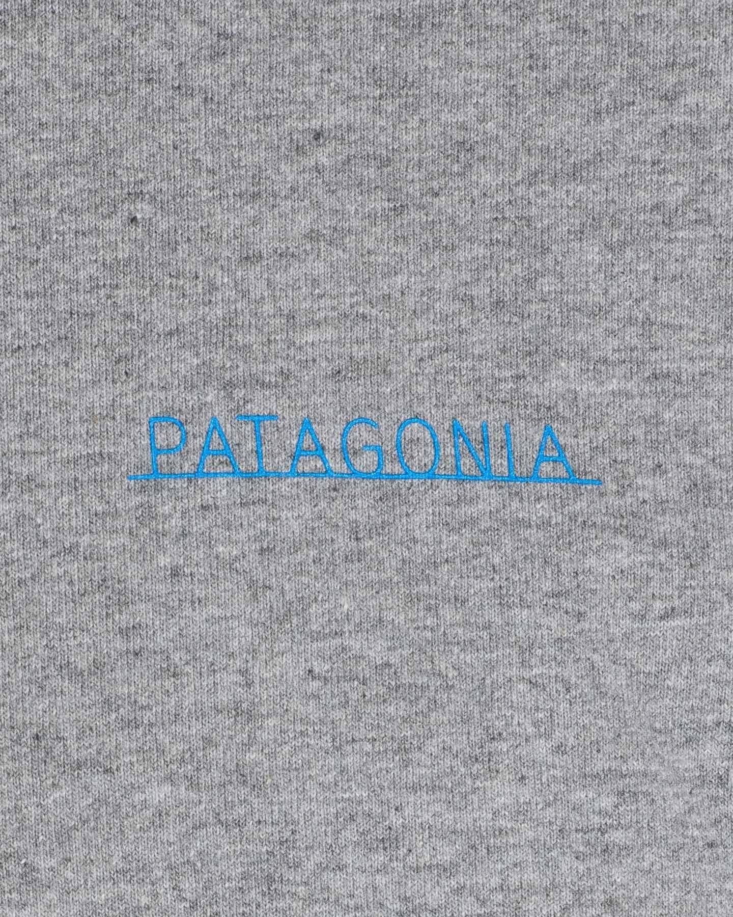 PATAGONIA ERKEK T-SHIRT 37572-GLH