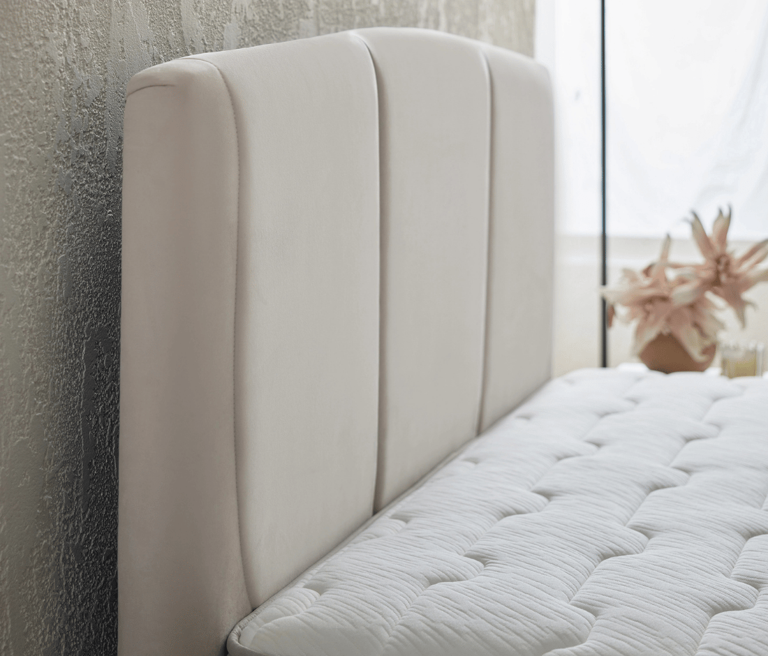 Puffy Dual Plus Başlık