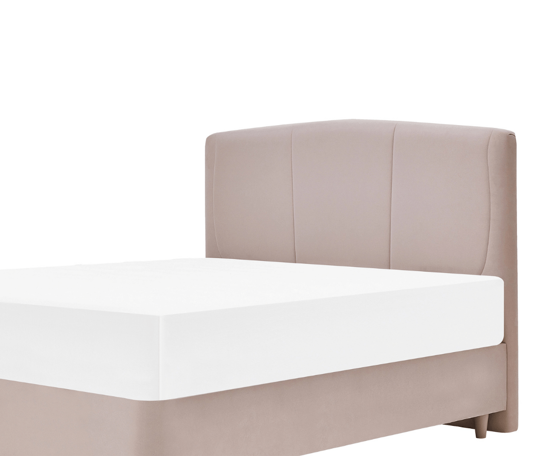 Puffy Dual Plus Başlık