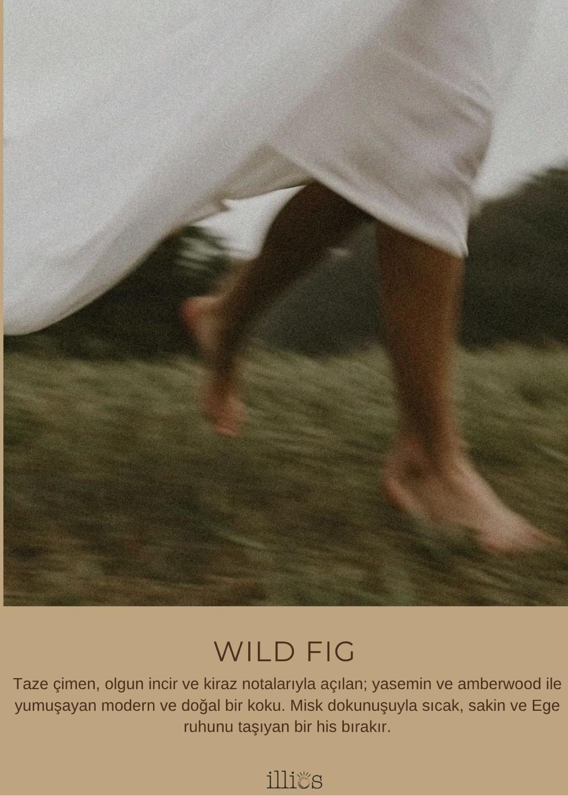 Wild Fig Roll Parfum