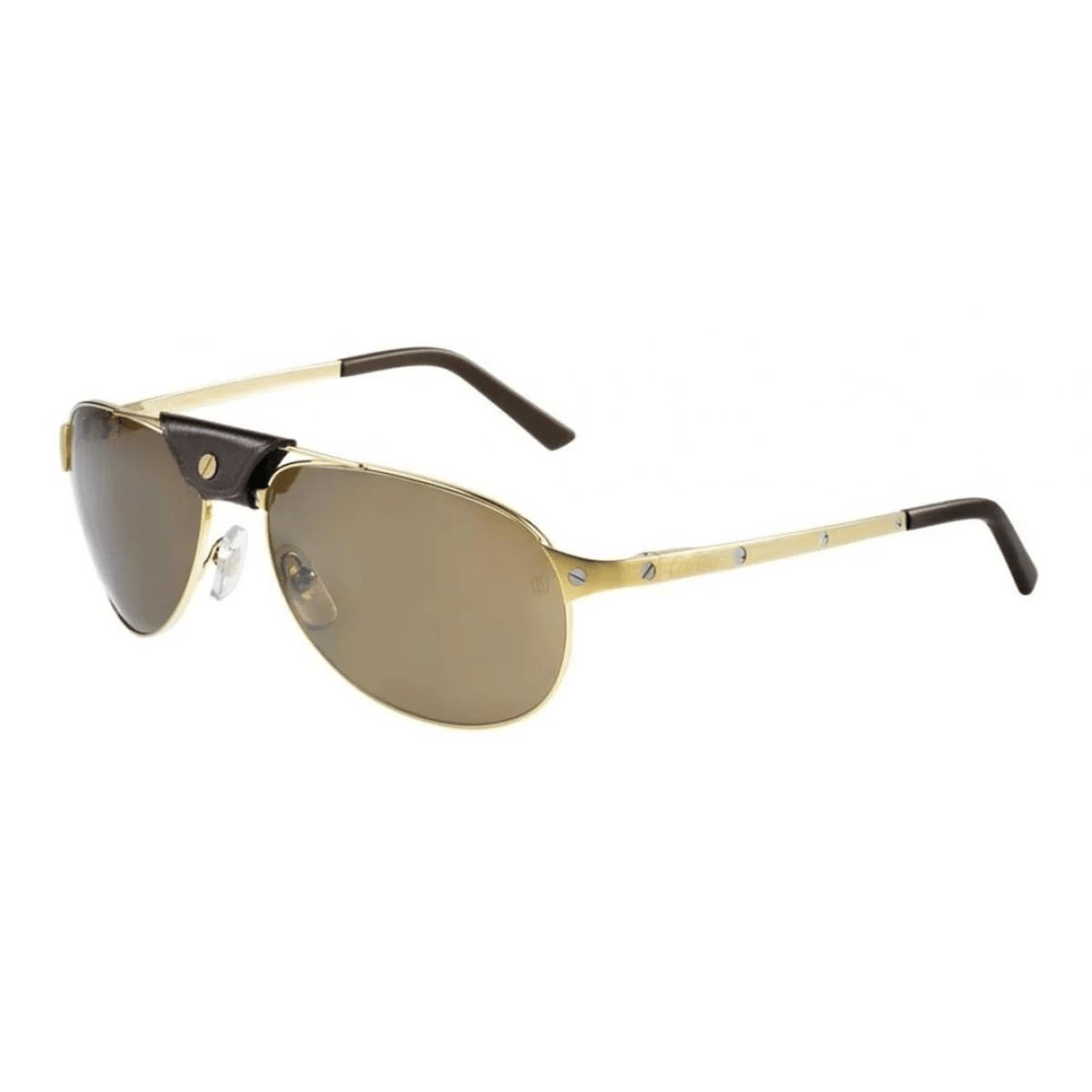CARTIER CT0074S 58