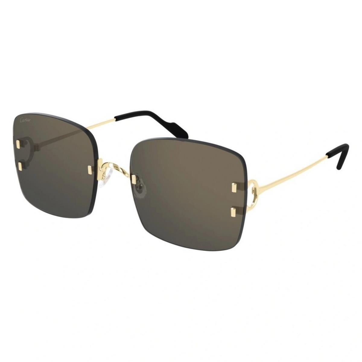 CARTIER CT0153S 58