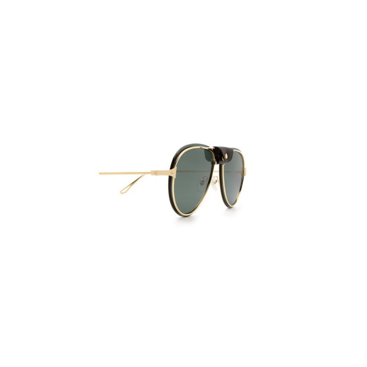 CARTIER CT0242S 60