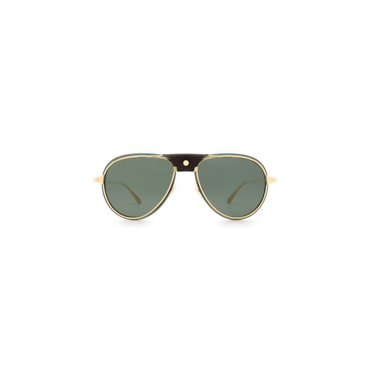 CARTIER CT0242S 60