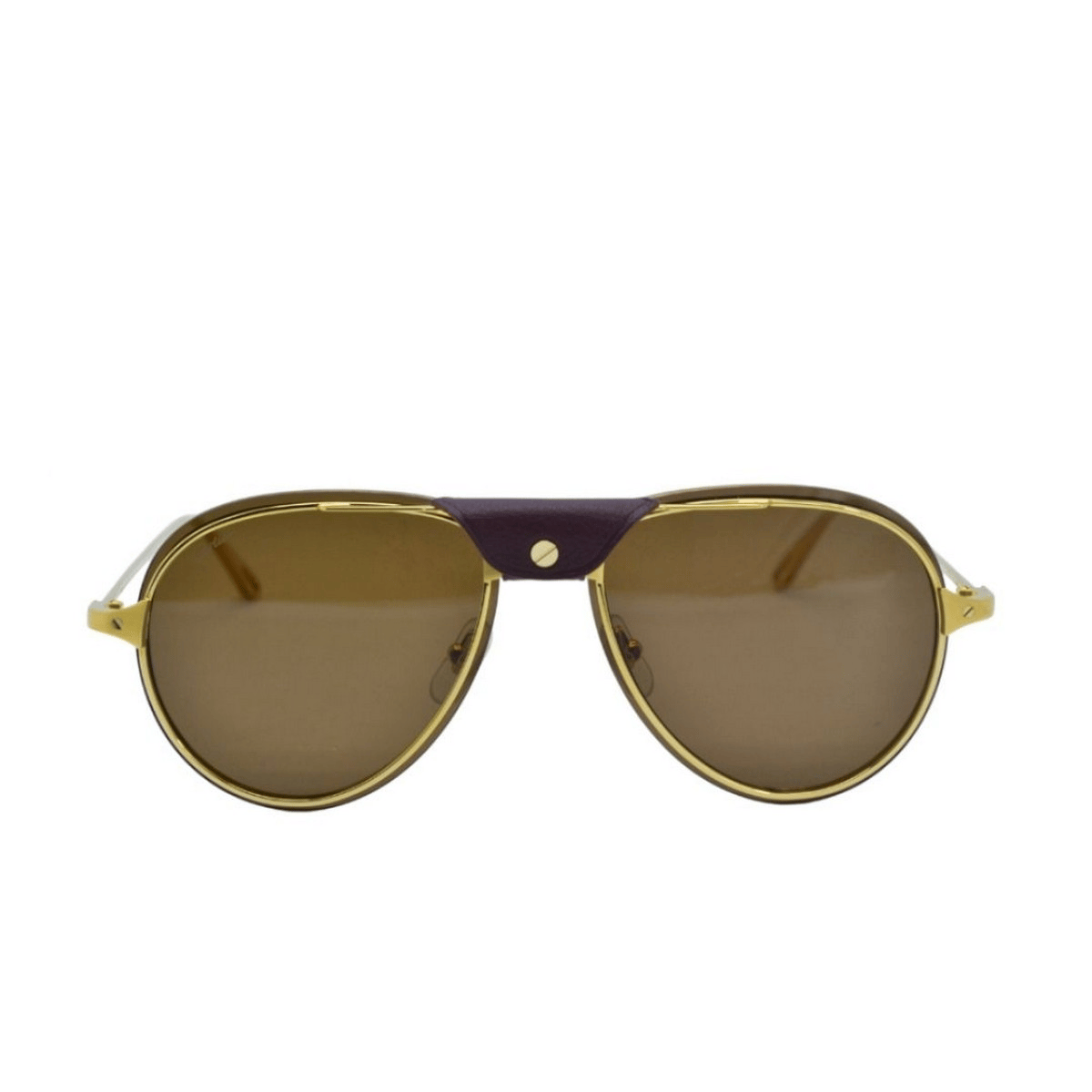 CARTIER CT0242S 60