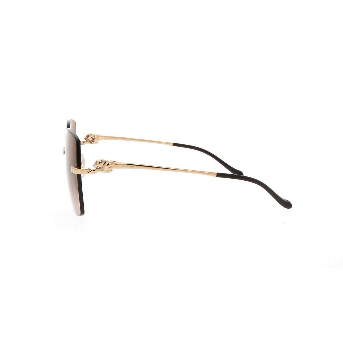 CARTIER CT0359S 60