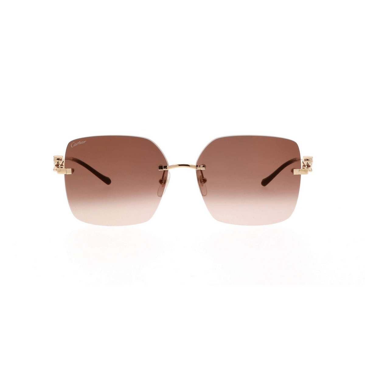 CARTIER CT0359S 60