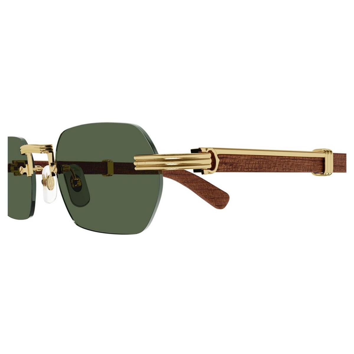 CARTIER CT0362S 54