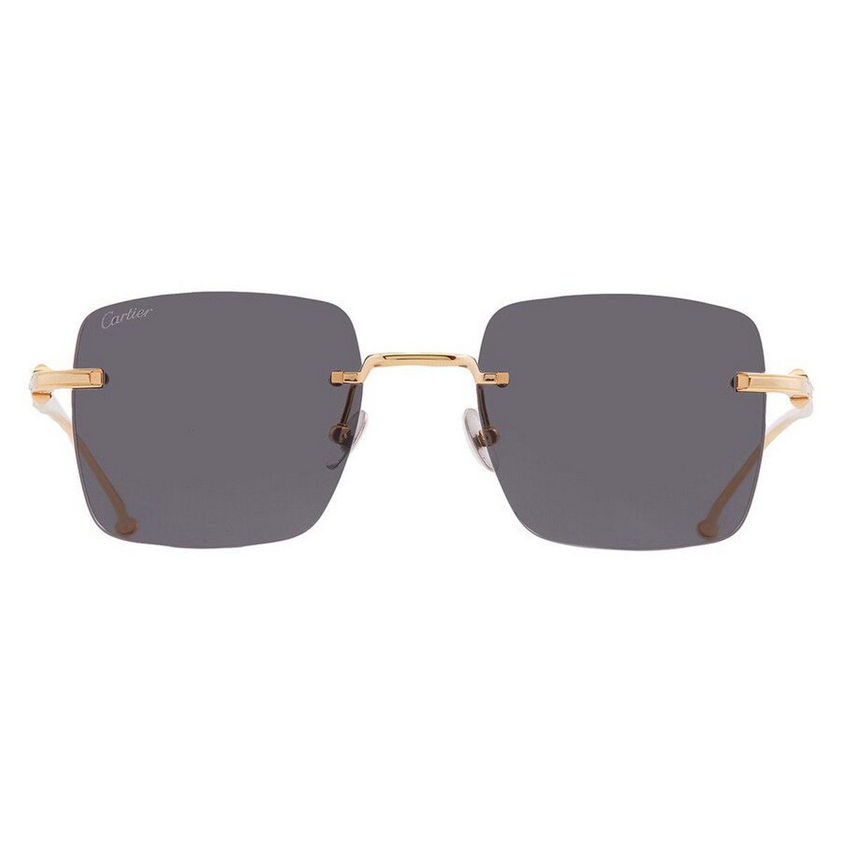 CARTIER CT0403S 52