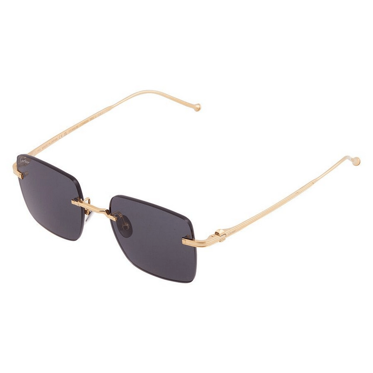 CARTIER CT0403S 52