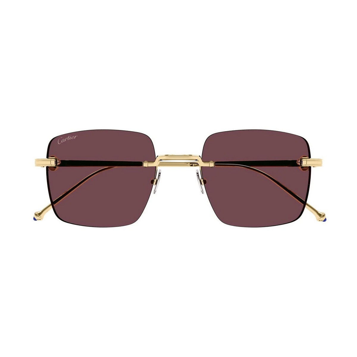 CARTIER CT0403S 52