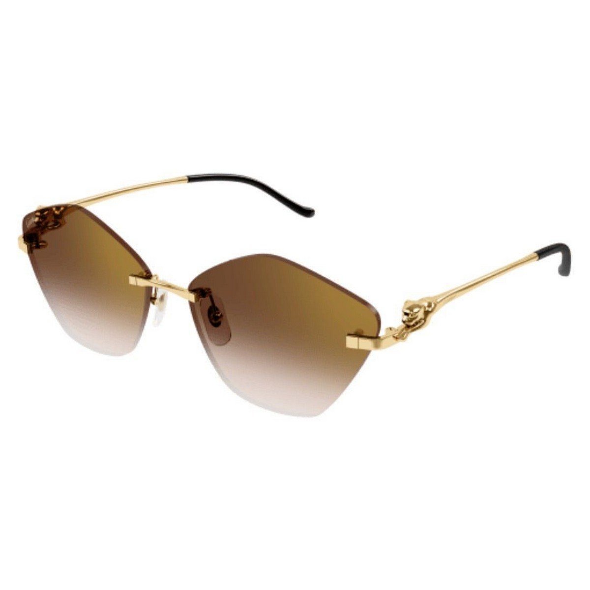 CARTIER CT0429S 61