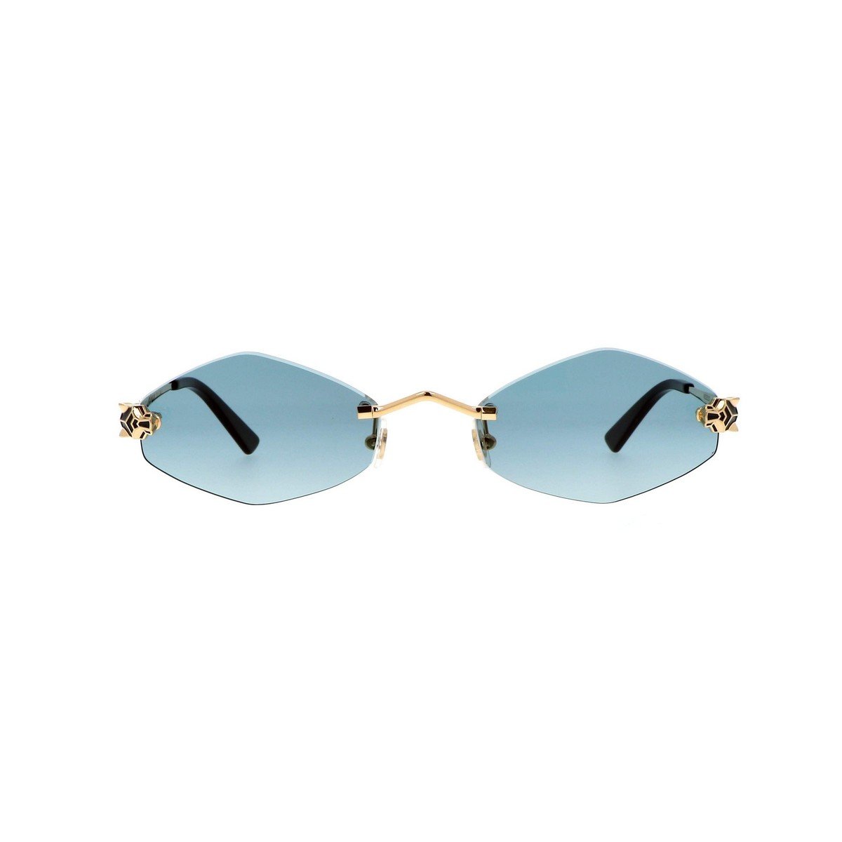 CARTIER CT0433S 55