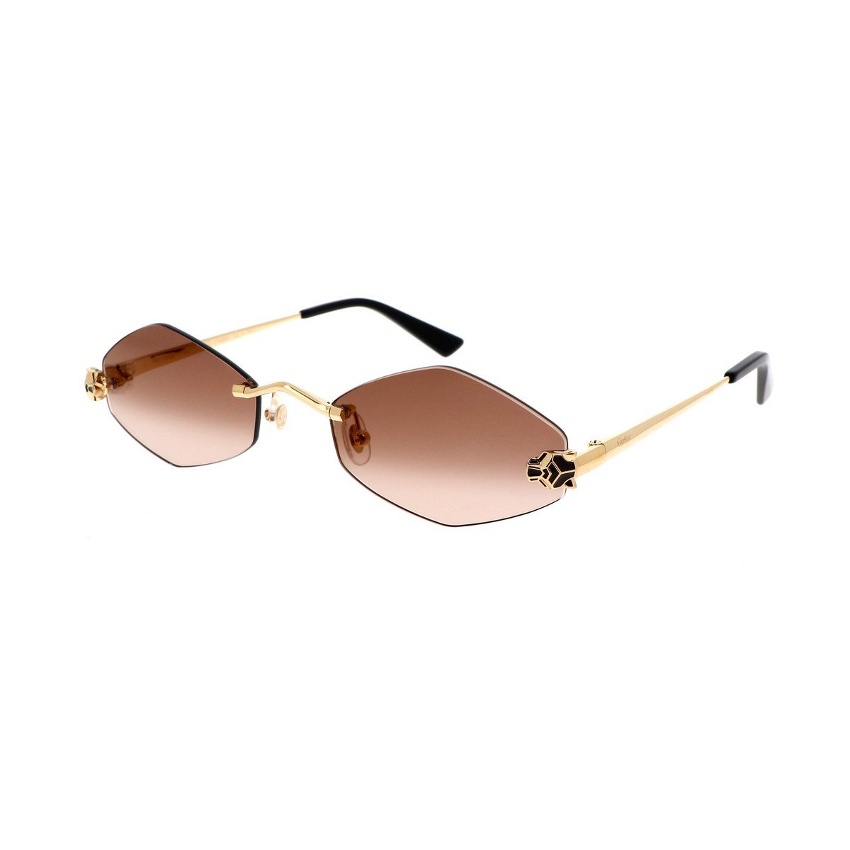 CARTIER CT0433S 55