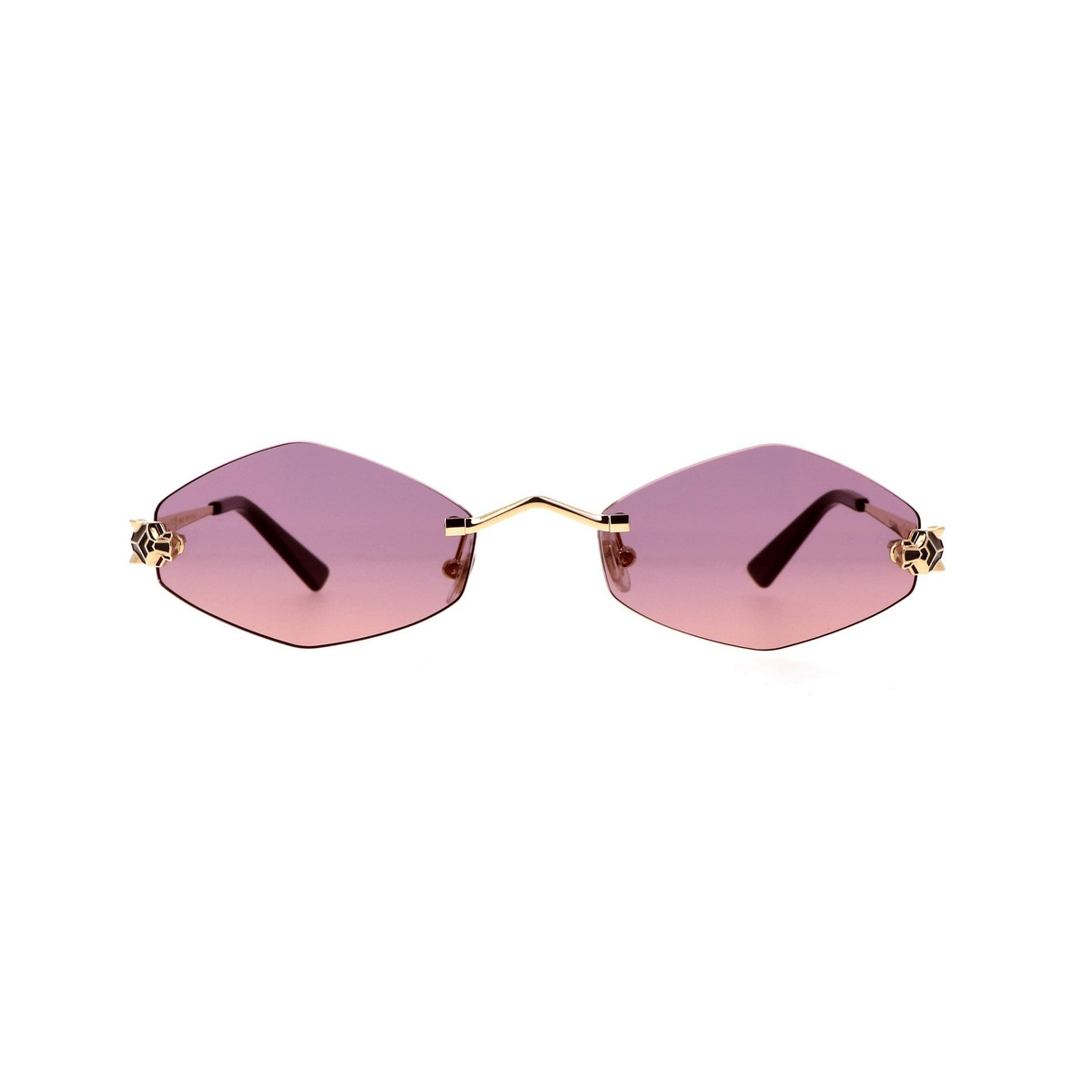 CARTIER CT0433S 55