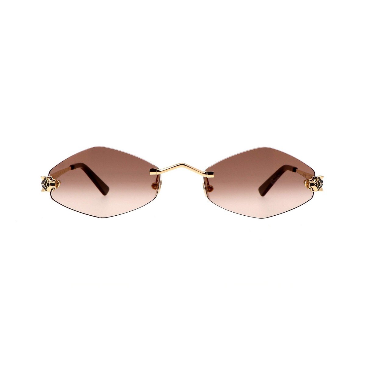 CARTIER CT0433S 55