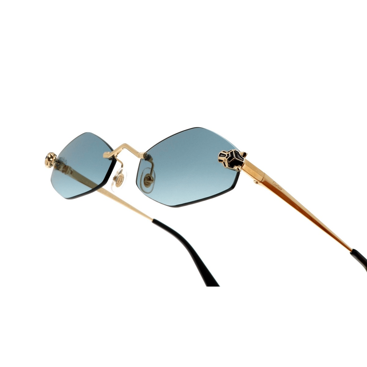 CARTIER CT0433S 55