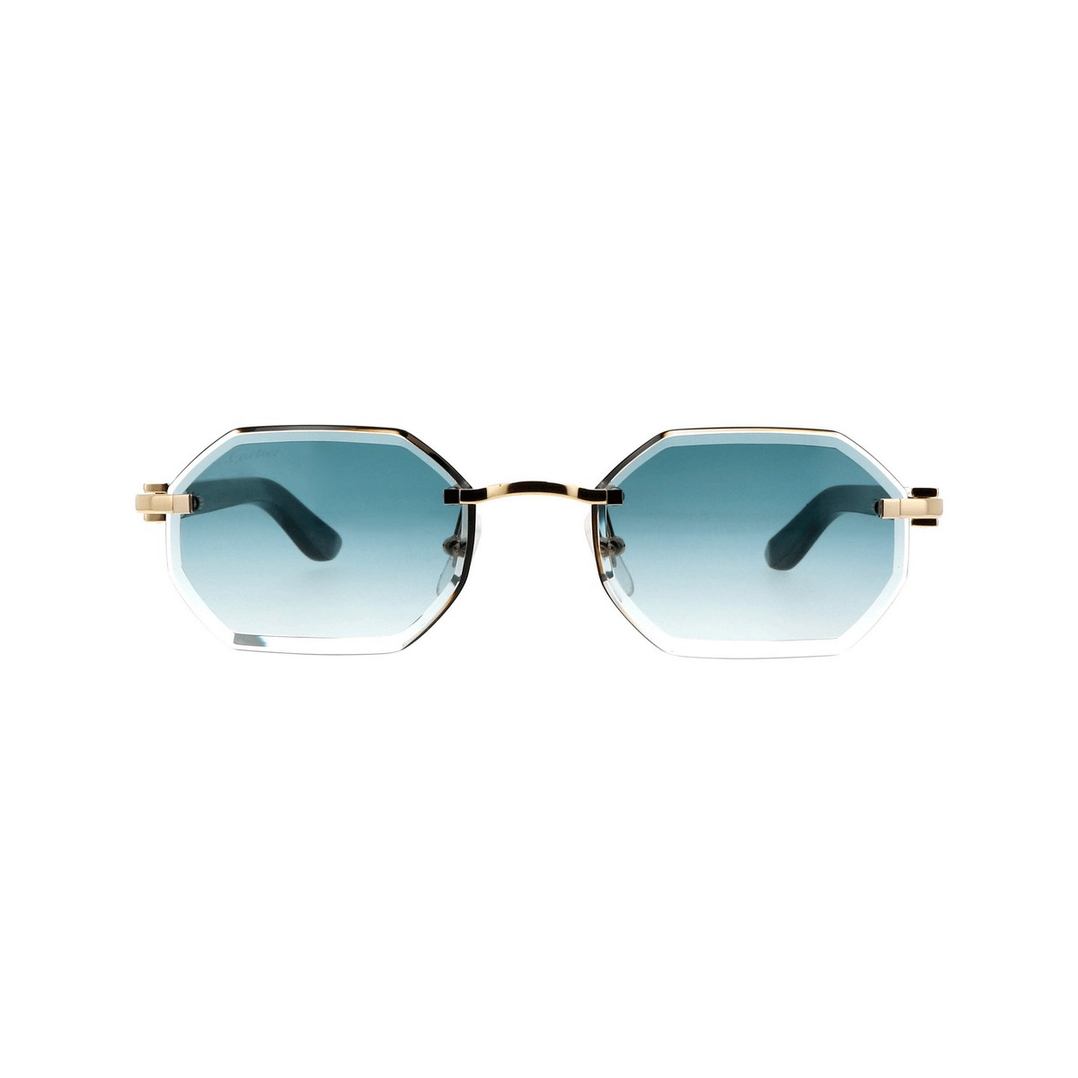 CARTIER CT0439S 54