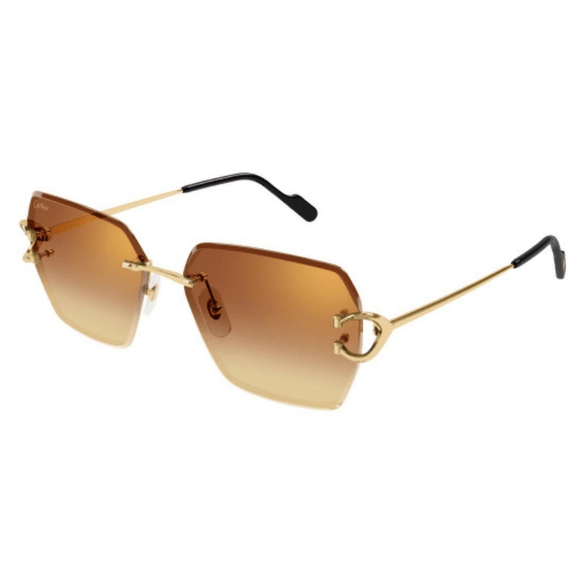 CARTIER CT0466S 58