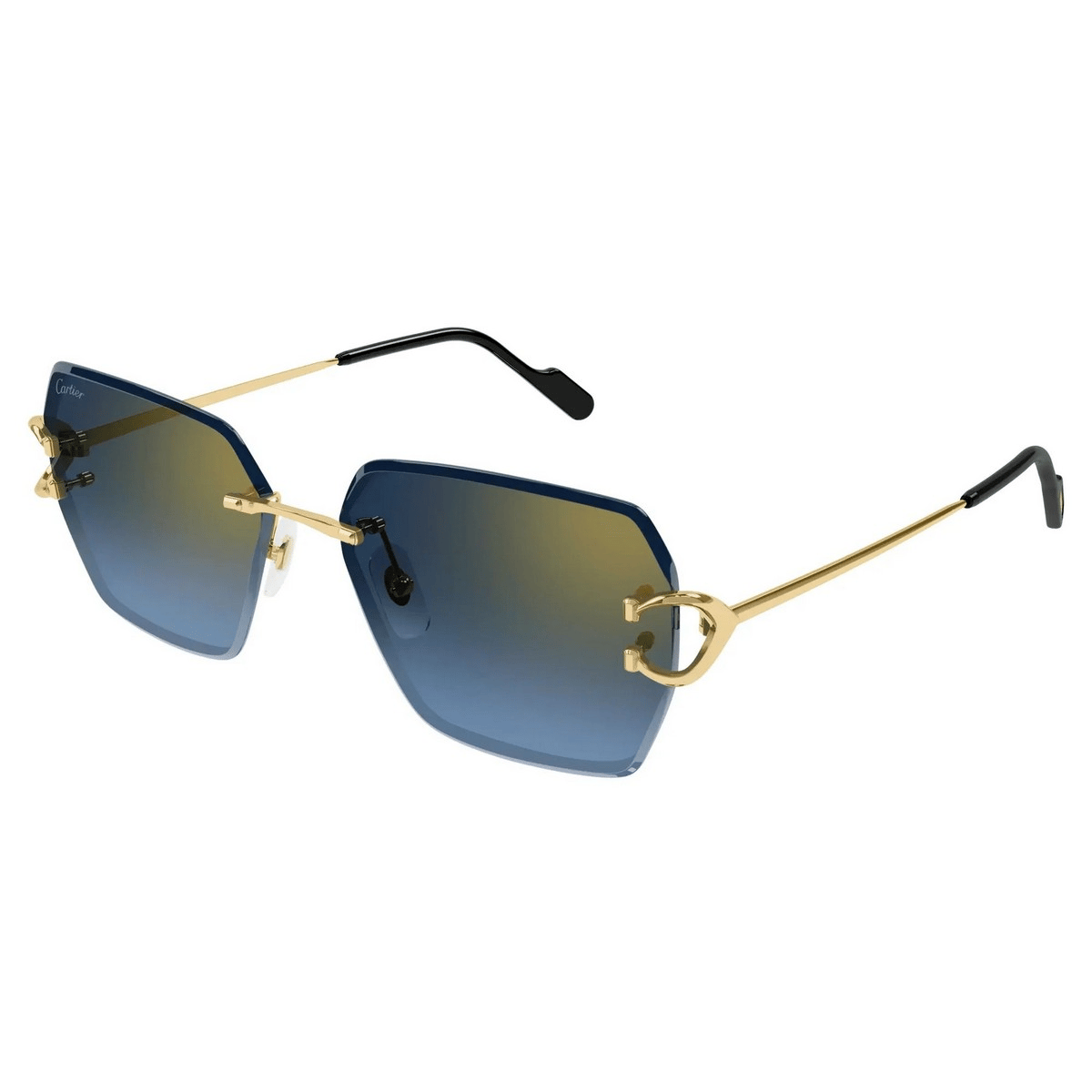 CARTIER CT0466S 58
